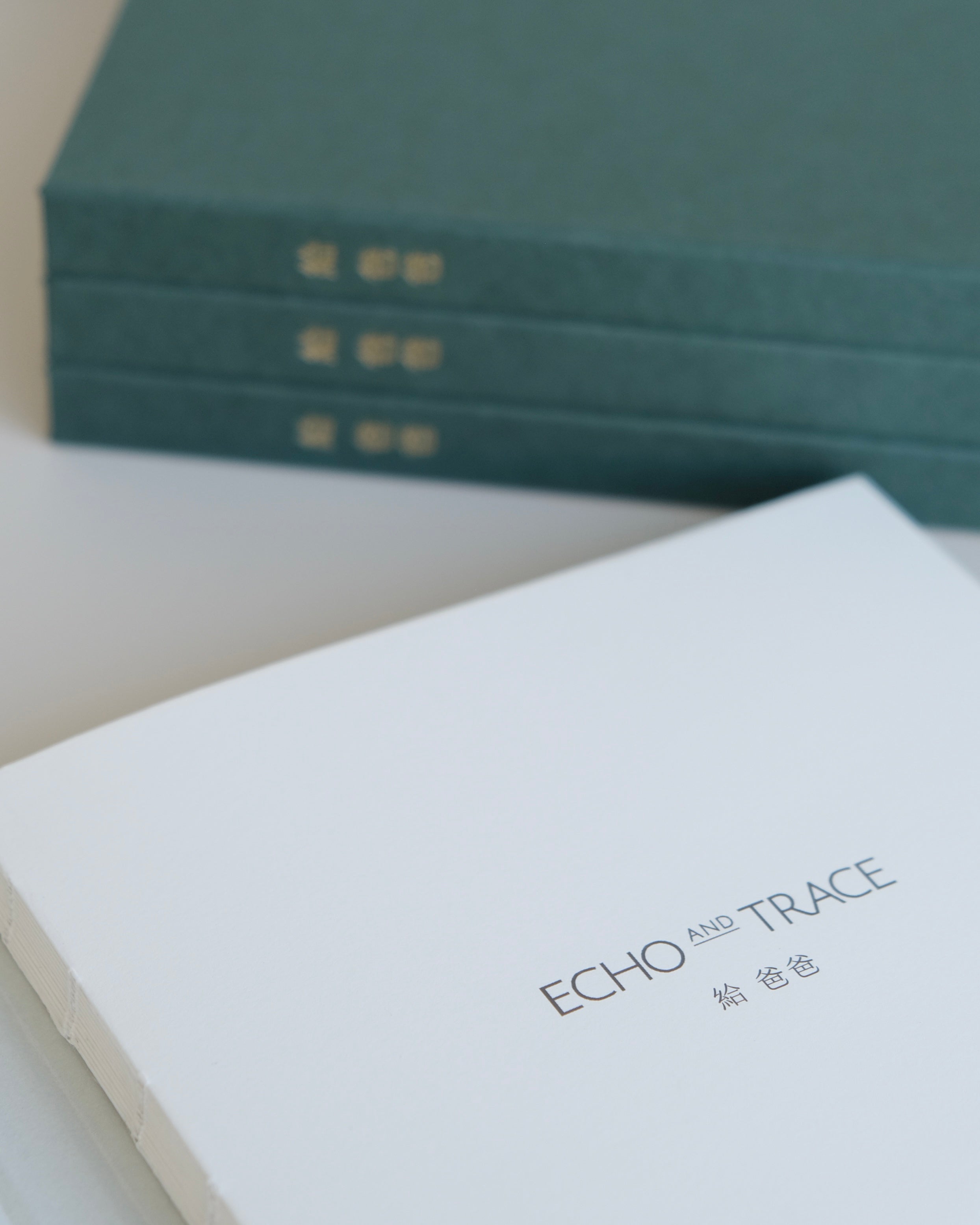 給爸爸,書本首頁內文